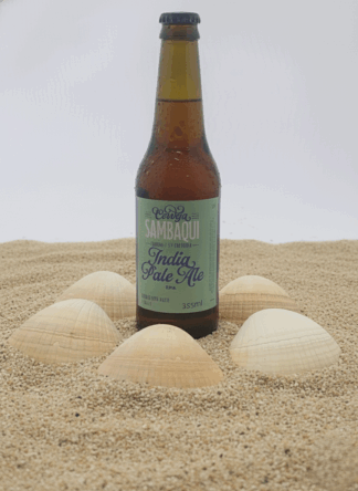 Cerveja IPA - Long Neck 355 ml (12 Unidades)